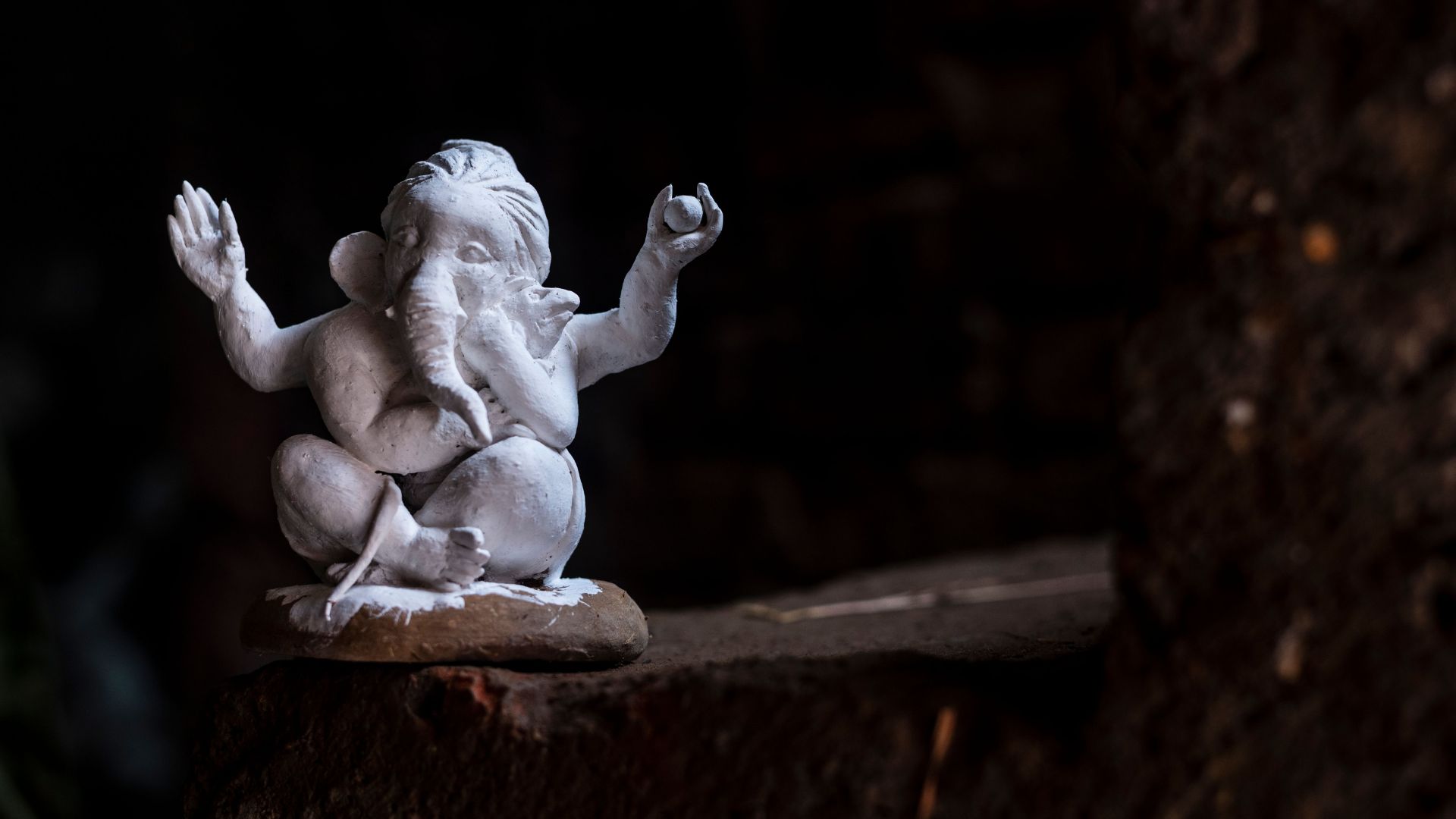 Carbón Natural Vegetal