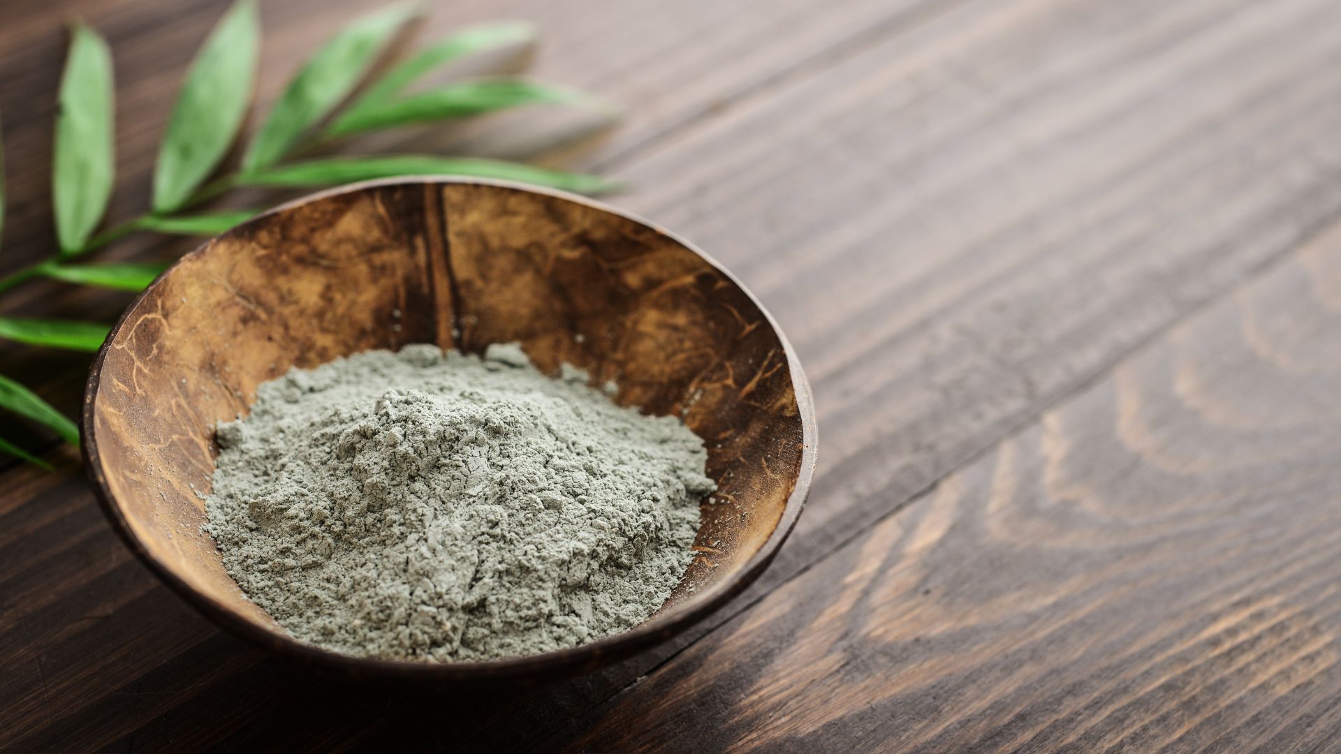 Carbón Natural Vegetal