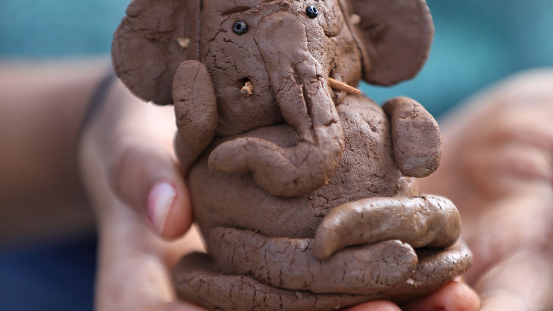 Carbón Natural Vegetal