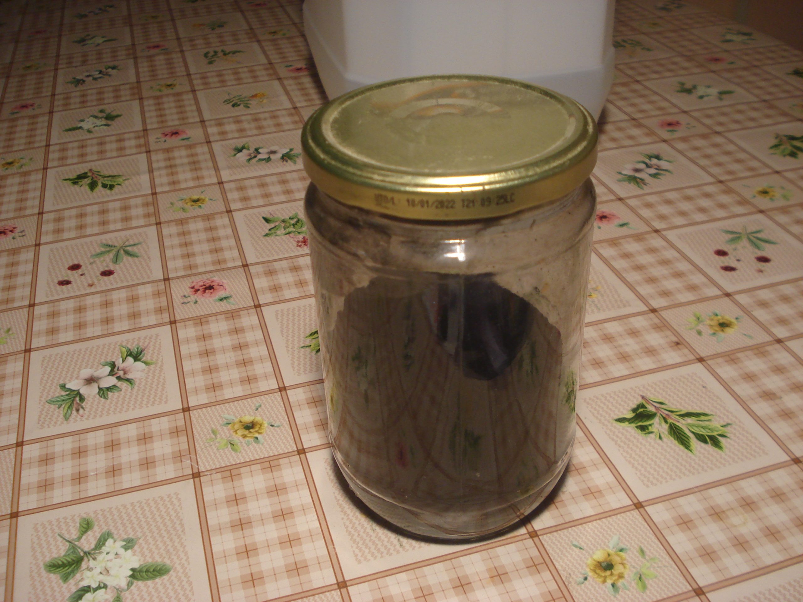 Carbón Vegetal Activado