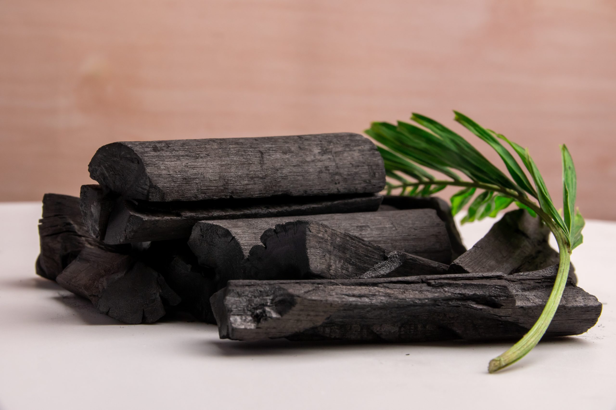 Carbón Vegetal
